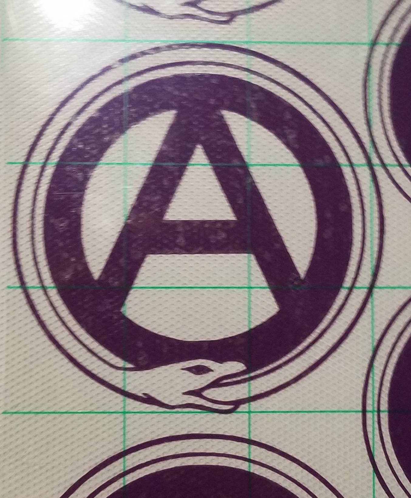 Ouroboros Anarchy Vinyl Sticker Decal