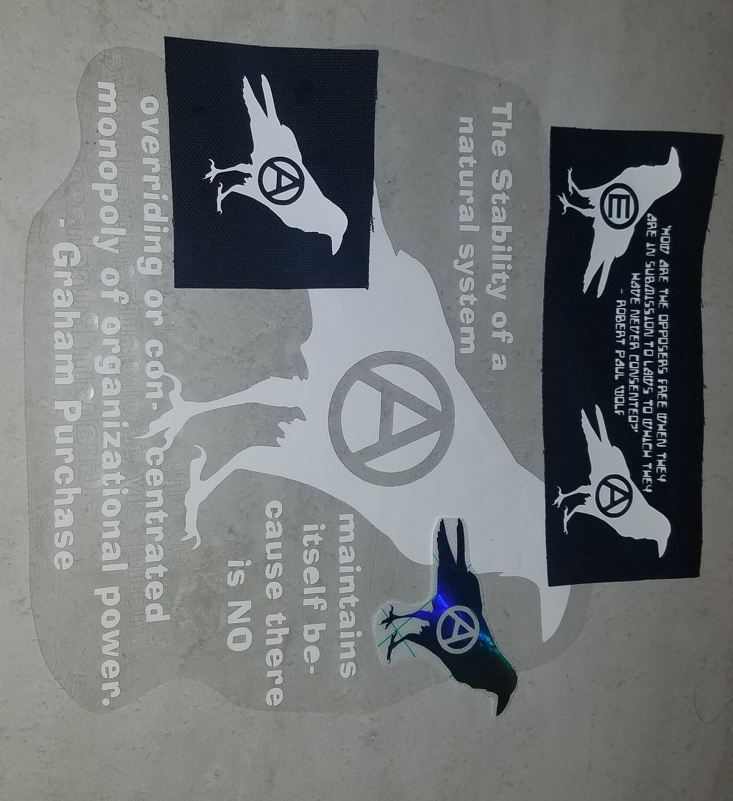 Anarchy Crow Patch
